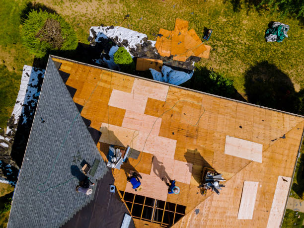Best Storm Damage Roof Repair  in West Samoset, FL