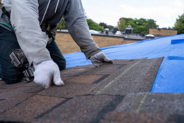 Best Shingle Roofing Installation  in West Samoset, FL